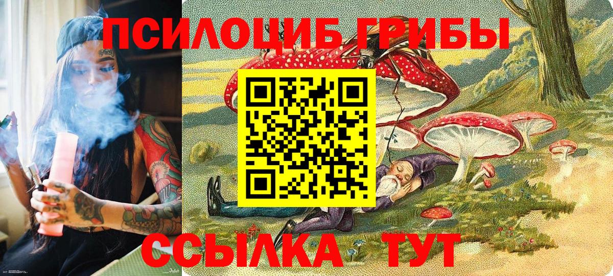 Кизляр  Галлюциногенные грибы GOLDEN TEACHER  Вход с VPN 
