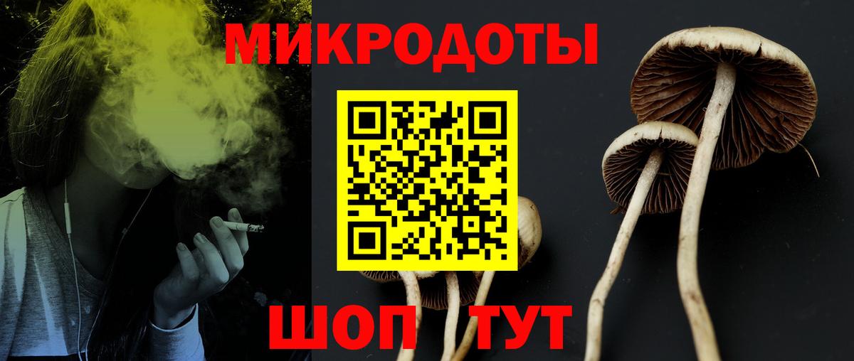 Псилоцибиновые грибы прущие грибы Кизляр